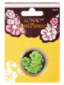 Real Flower Nail Art Green