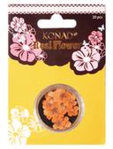 Real Flower Nail Art Orange