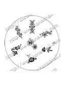 Konad Image Plate S1